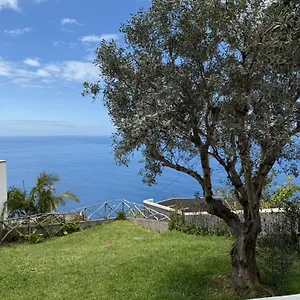 https://cozy-sea-view-house-faja-da-ovelha.madeira-islandshotels.com